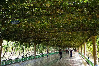 策略游戏《剑与魔法与学园任务》将于9月8日发售